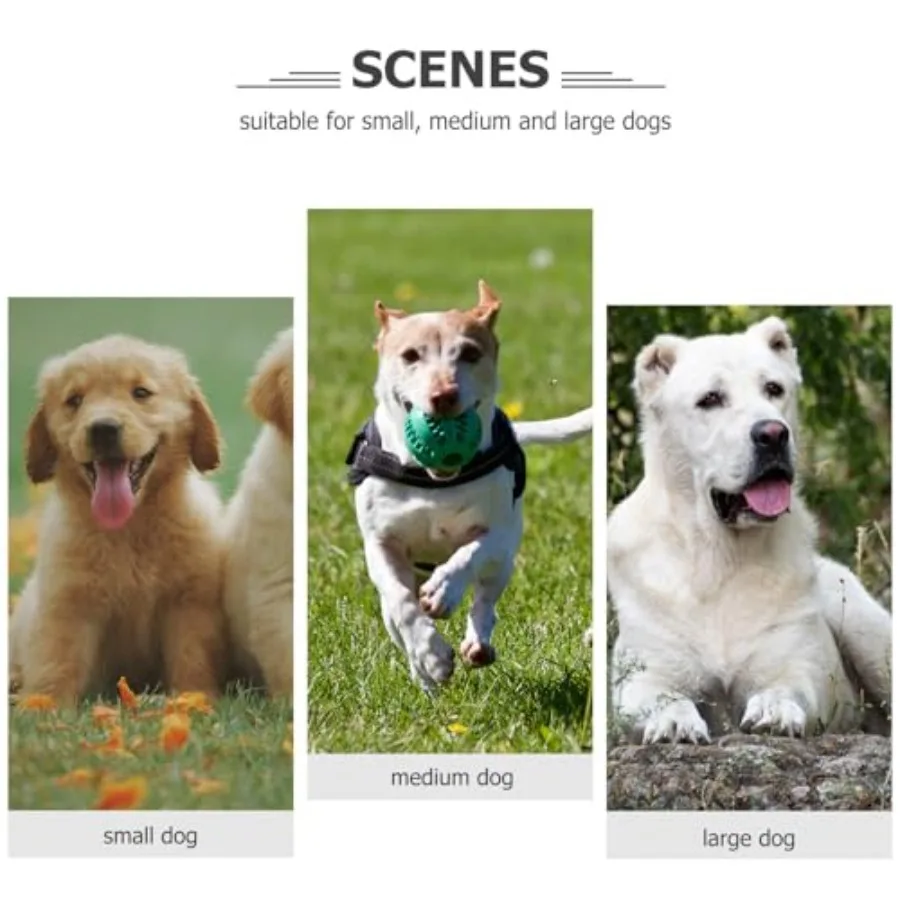 10 pezzi Dog me Tag Etichette vuote Etichette di identificazione del cane a forma di osso Incisione me Tag Tag persolizzati per cucciolo di s Tag ID in metallo Blan