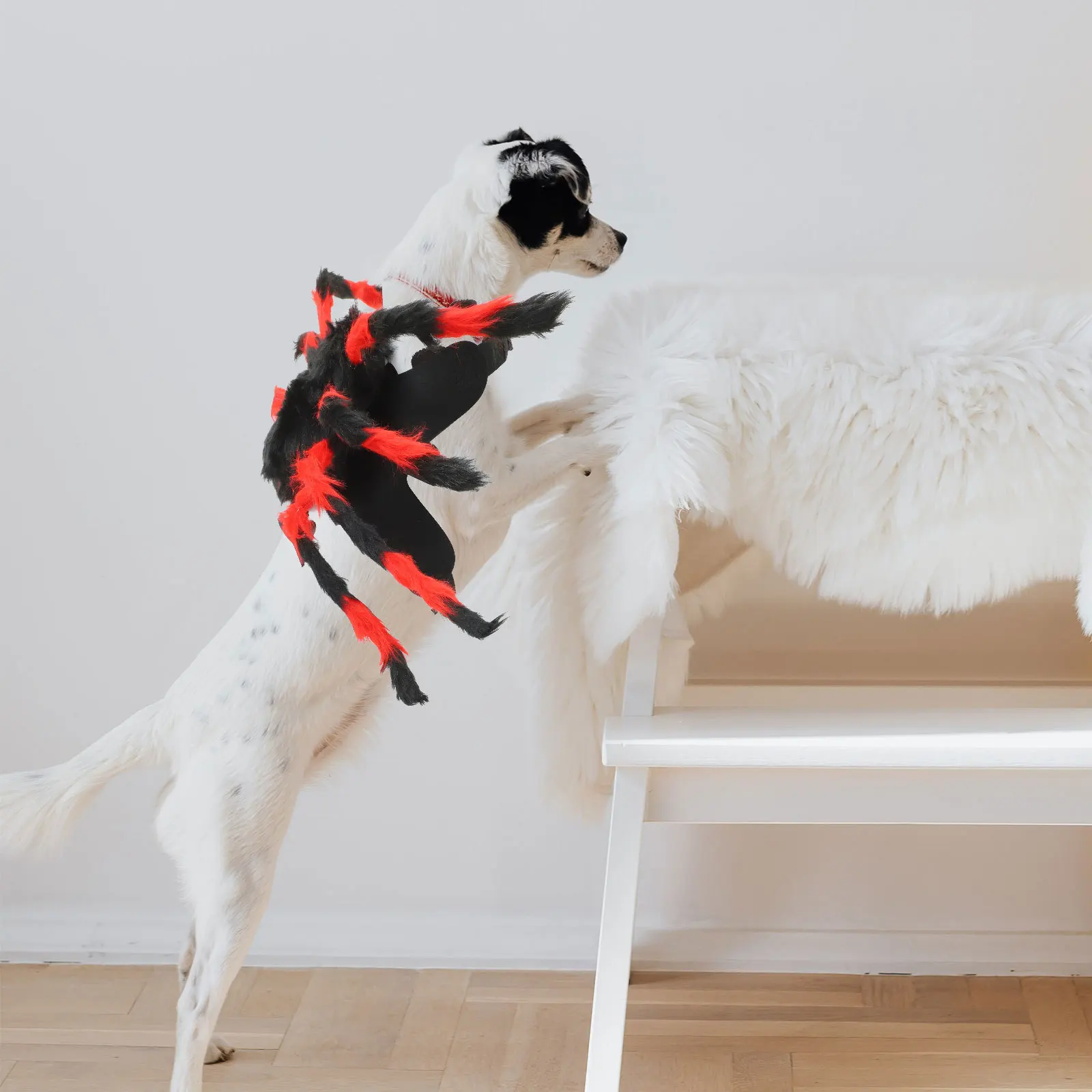 

Pet Spider Costume For Cats Small To Medium Dogs Halloween Cosplay Outfit Funny Animal Dress Up Party Wear Cat Hoodie Dog