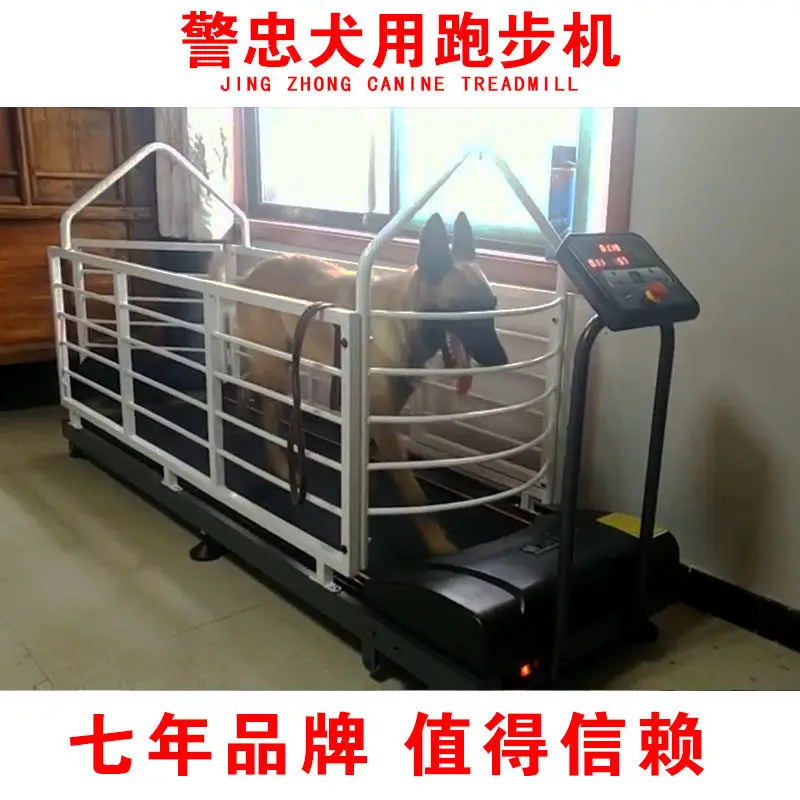 Akita Canine Treadmill, Doberman Canine Treadmill, Golden Retriever Treadmill, Side Animal Treadmill, Dog Treadmill