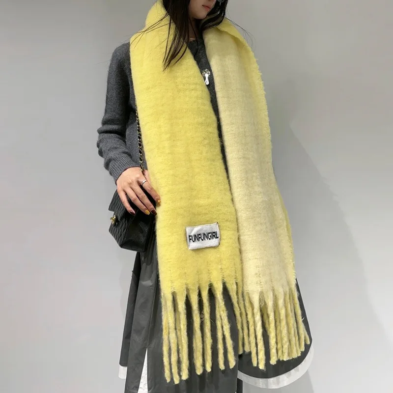 Autumn and Winter High-end Double-sided Simple Tassel Women's Scarf Niche Fashion Travel Shopping Versatile Thick Warm Shawl