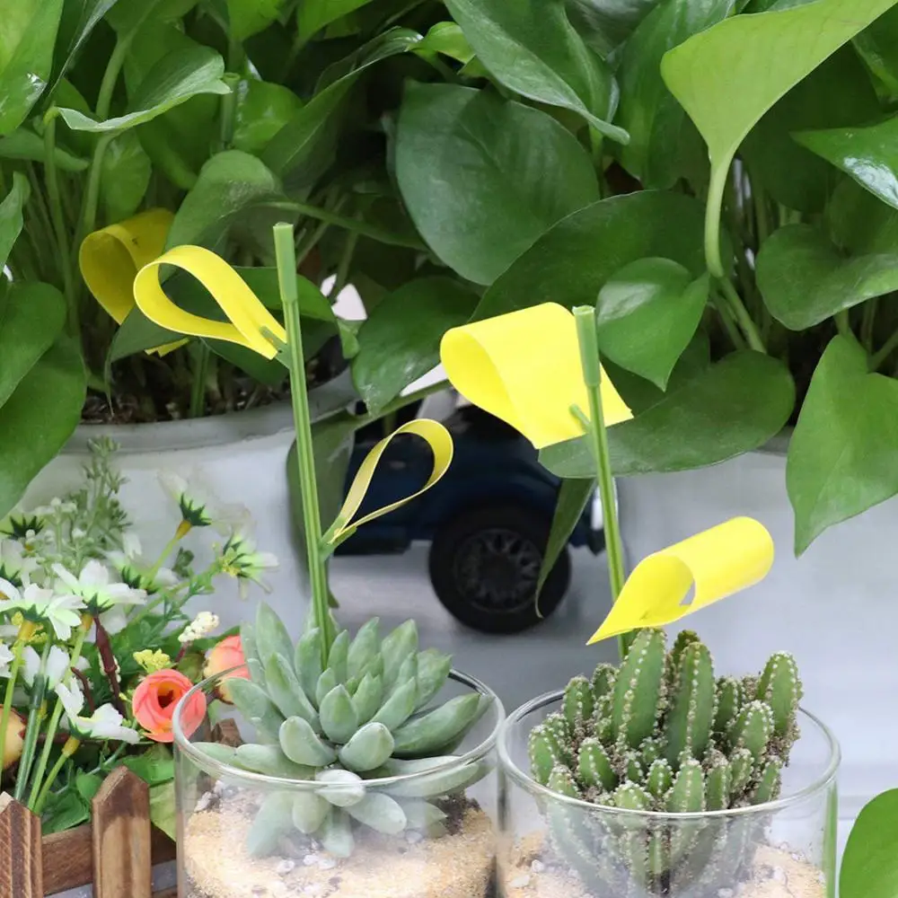 Yellow Sticker Waterproof And Sunscreen Thickened Cardboard Plastic 2 Specifications Gardening Accesorries Plant Stickers