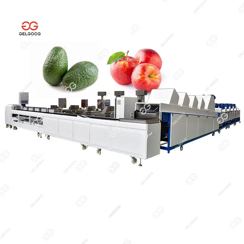 Fruit Weighing and Sorting Machine Avocado Fruit Cleaning and Sorting Avocado Sorter Grader Avocado Sorting Machine