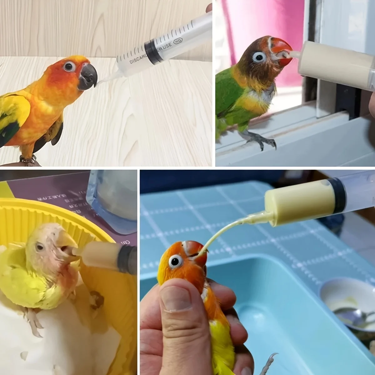 9PCS Bird Feeding Syringe - Juvenile Parrot Feeding Tube - Manual Feeding Syringe for Birds, Kittens and other Small Animals