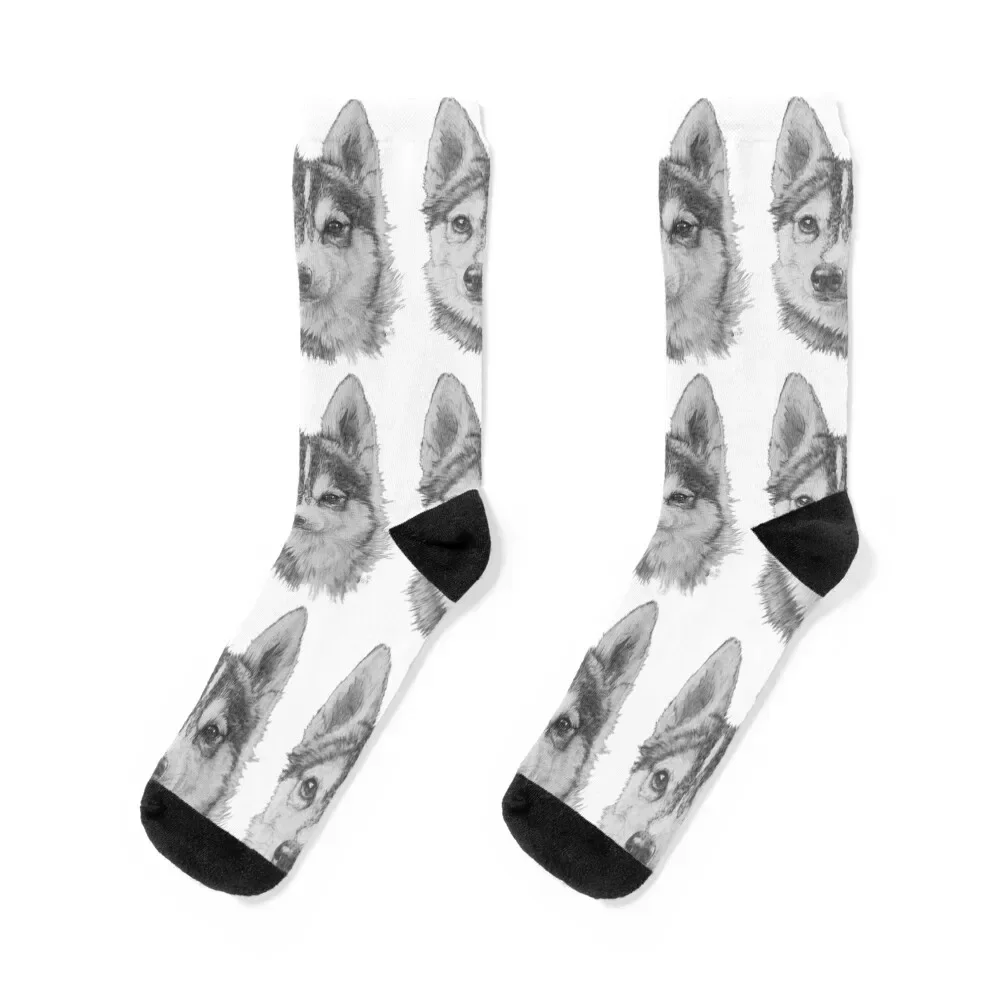 

Alaskan Klee Kai Socks funny gifts ankle christmas stocking FASHION Socks Male Women's basketball summer set Socks Men Women's