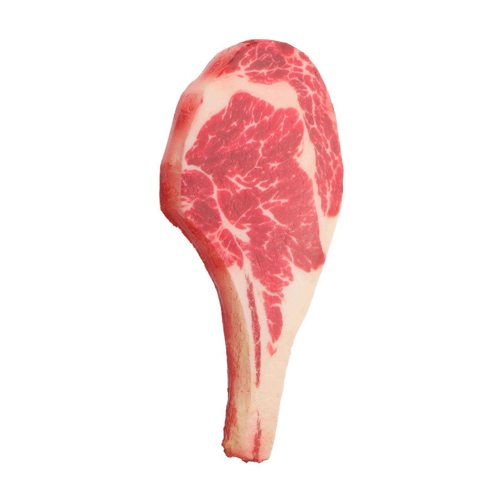 artificial-lifelike-raw-steak-large-fake-bone-in-steak-simulation-food-prop-for-culinary-classrooms-restaurant-photography