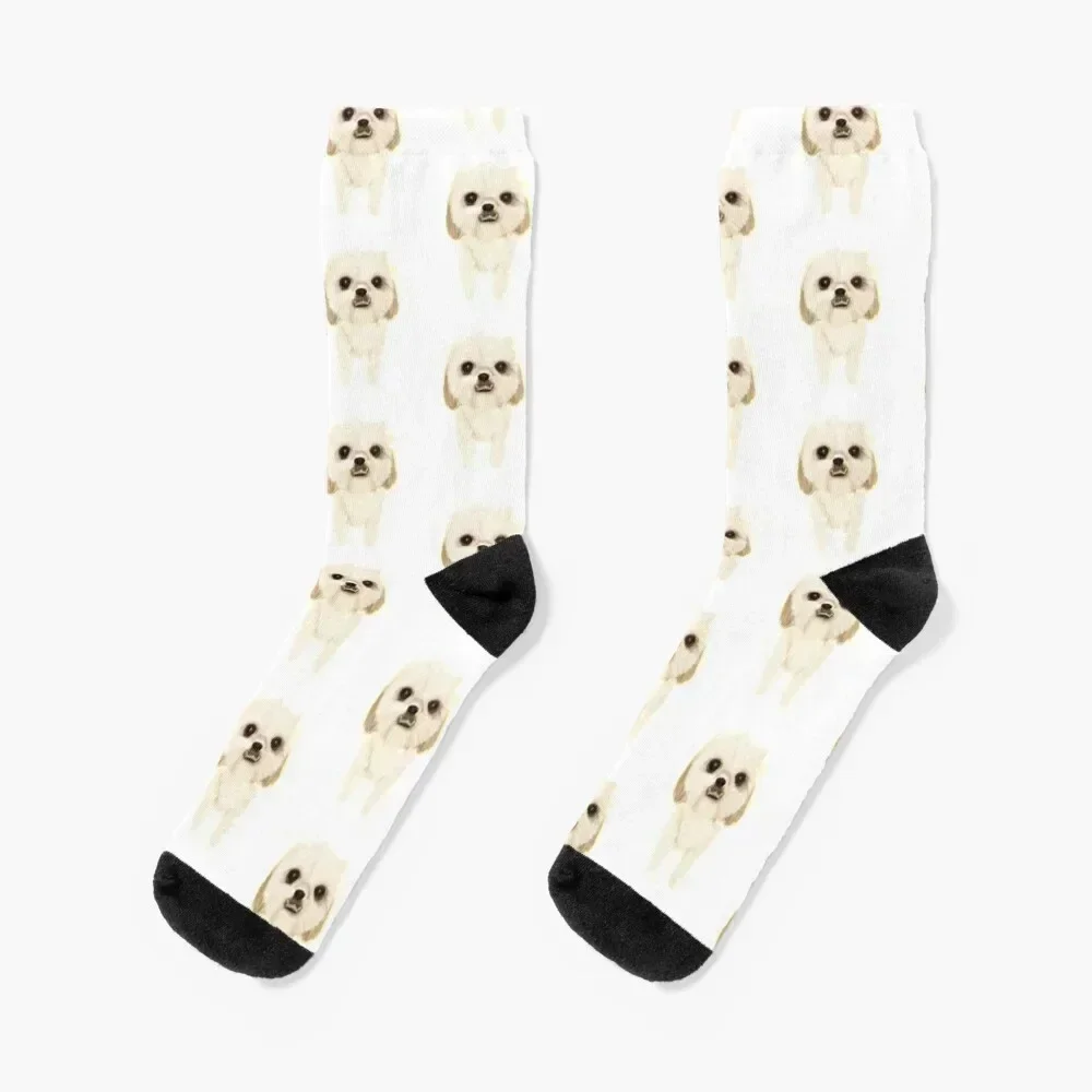 

Bichon Shihtzu Puppy Socks compression floral Man Socks Women's