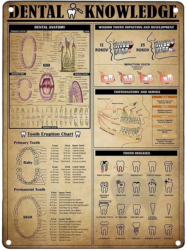 Plaque en métal rétro sur le thème de la dentisterie, affiche imprimée sur l'anatomie dentaire, décoration murale artistique pour restaurant, café, salon, cuisine.