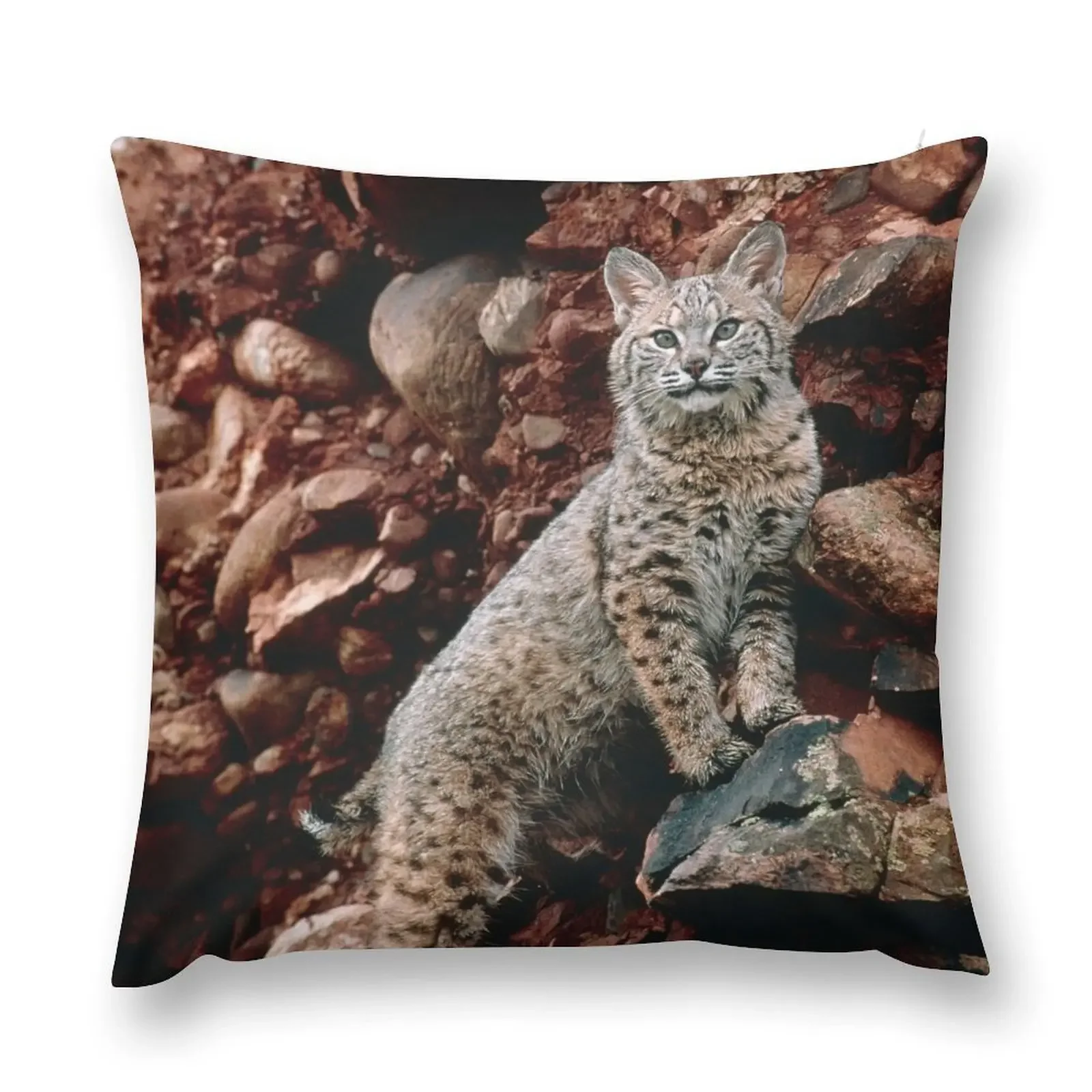 Bobcat (Z934/0011) Throw Pillow sleeping pillows Decorative Cushions For Living Room pillow