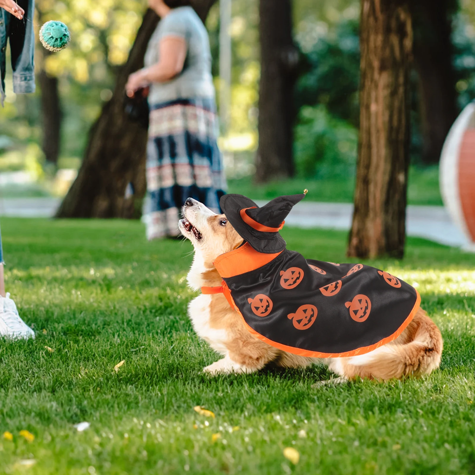 

1Set Cloak Set Long Lasting Halloween Pet Costume Hat Cloak Ideal for Party Photo Shoot Dog Cat Accessories