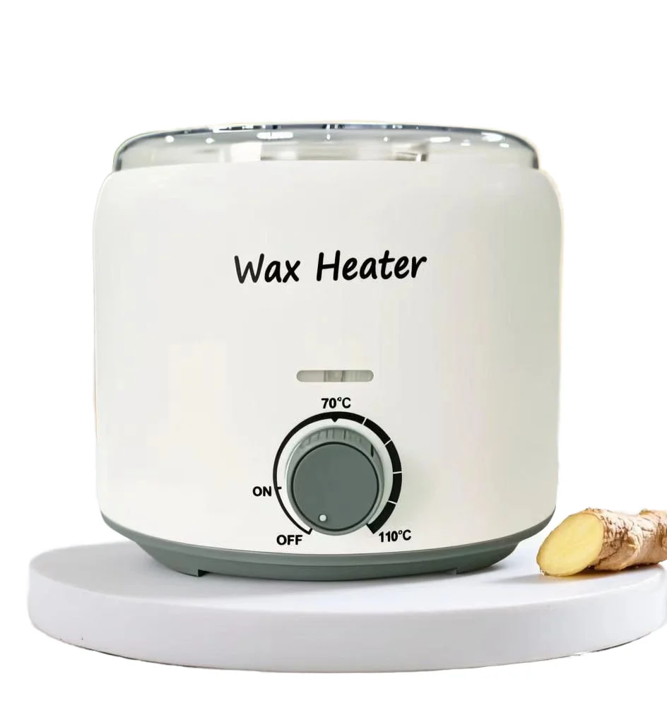 Wax Machine Spa Temperature Control Wax Warmer Heater Painless Hair Removal Waxing Kit for Home Use