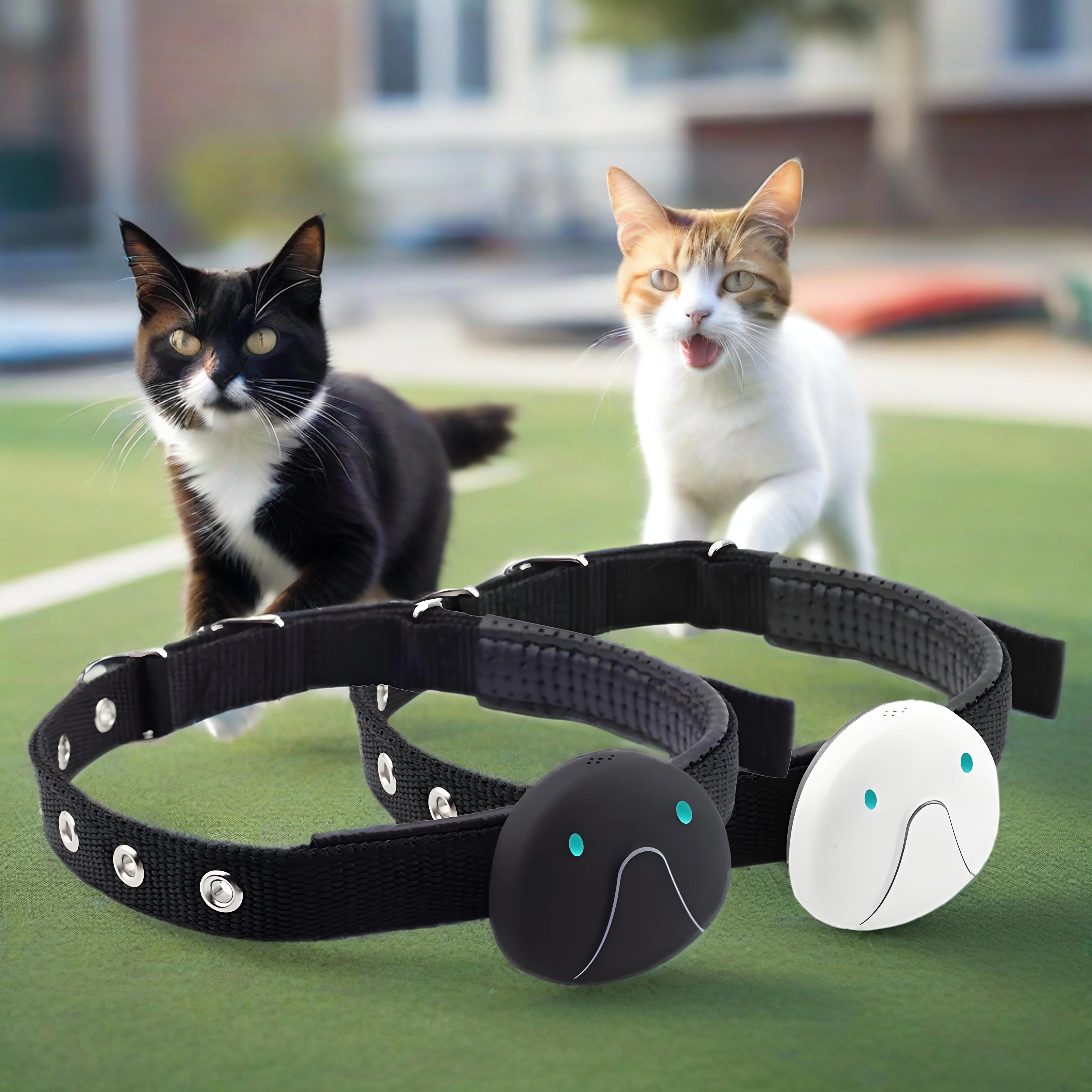 2G GPS-трекер для домашних собак, удаленный домофон, специальное позиционирование кошек и собак, BDS LBS, WIFI-локатор, ошейник для защиты от потери устройства