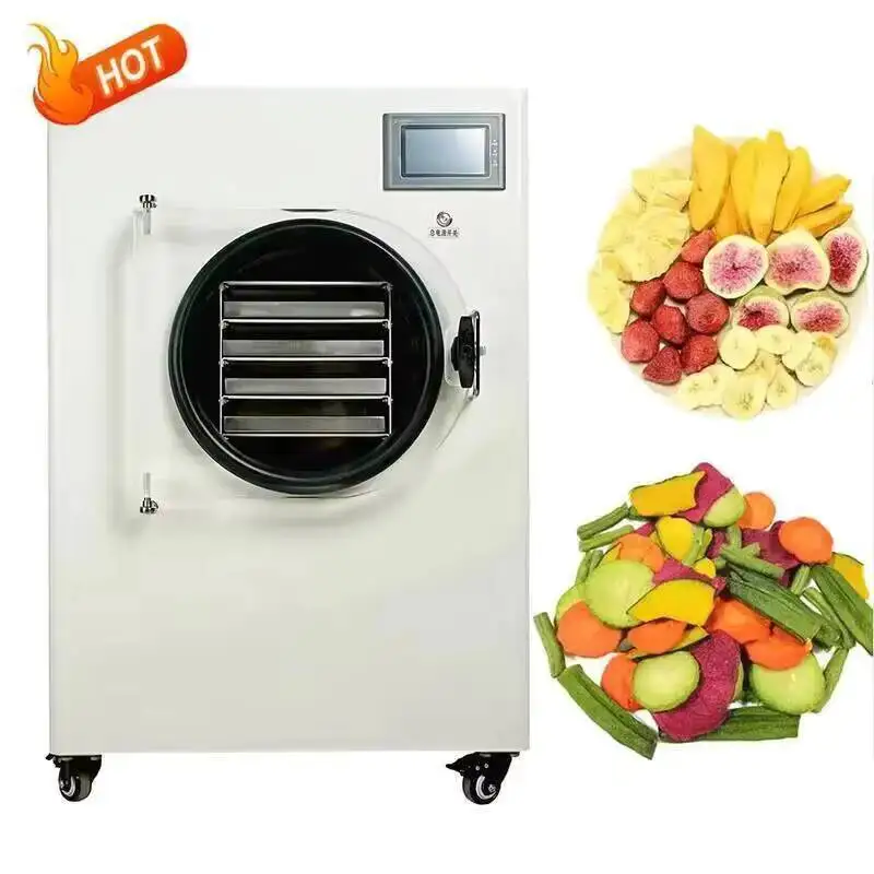 New Stainless Steel Food Freeze Dryer For Fruits Vegetables Lyophilizer Machine Lab
