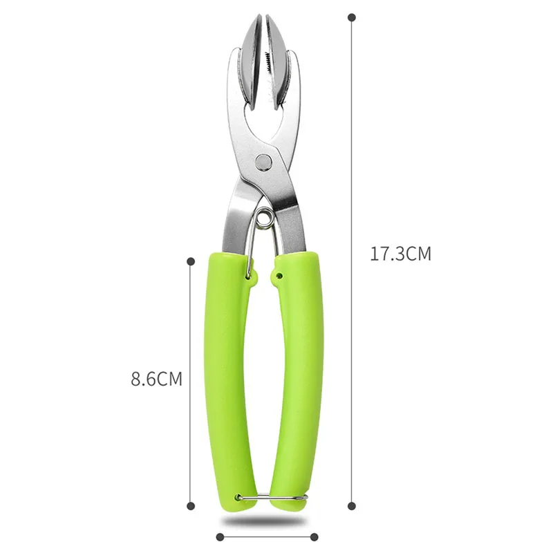 Chestnuts Opener Clip Nut Cracker with 304 Stainless Steel Blade Walnut Cracker Sheller Metal Walnuts Pliers Kitchen Walnut Tool view 2