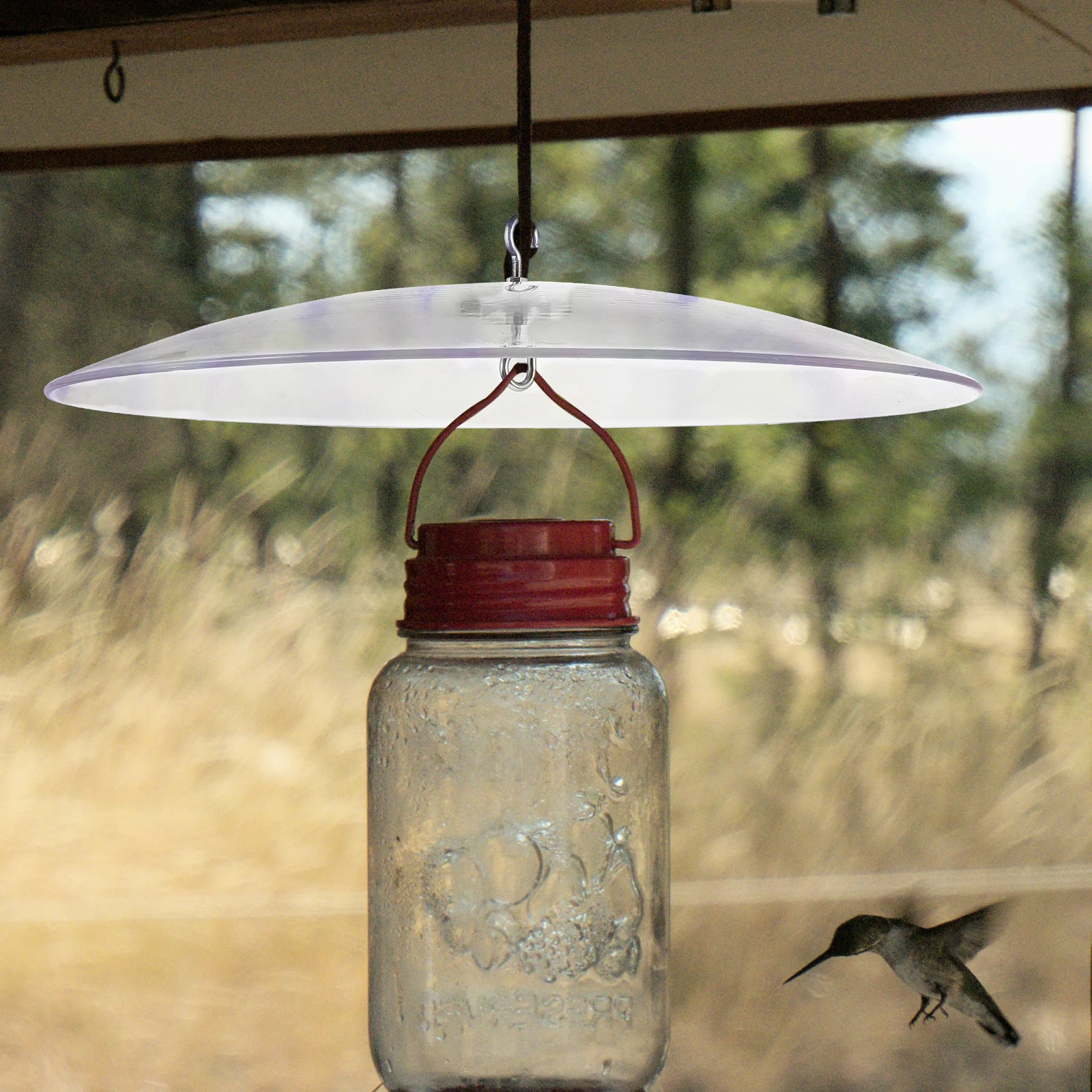 

Rain Proof Bird Feeding Cover Clear Dome Protector for Small Feeders Garden Outdoor Hanging Anti Rust Plastic Hook Included