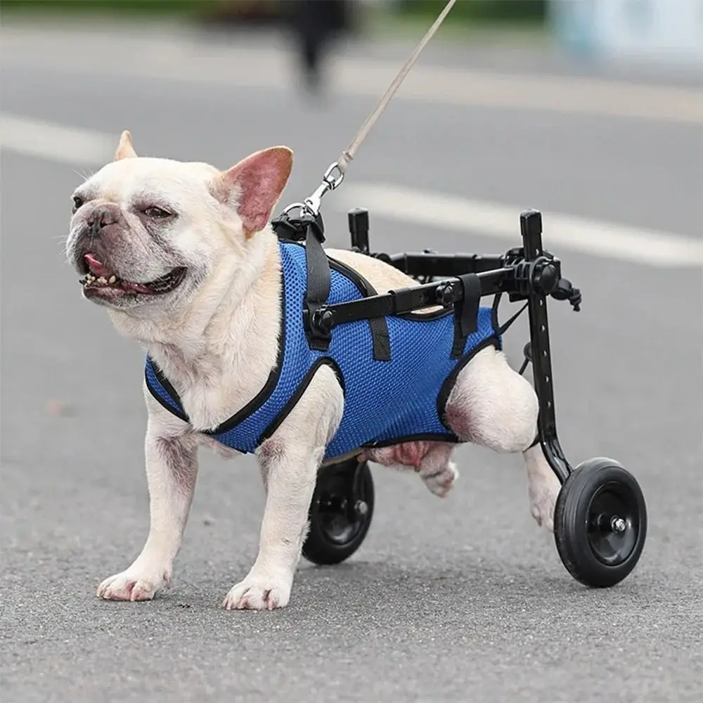 

Adjustable Pet Walk Booster Walking Wheels Light Pet Hind Legs Bracket Durable Blue Dog Wheelchair Cart Disability Dog