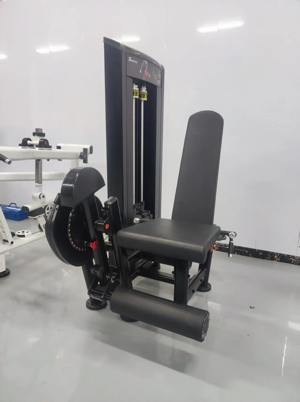 The Latest Gym Leg Stretching And Flexing Trainer One-to-one Atlantis