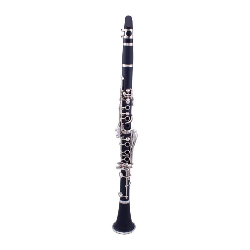 Taishan TSCL-612E Professional Level Customized Logo Nickel Plated Keys Hard Rubber Body BB Tone Clarinet Woodwind Instrument