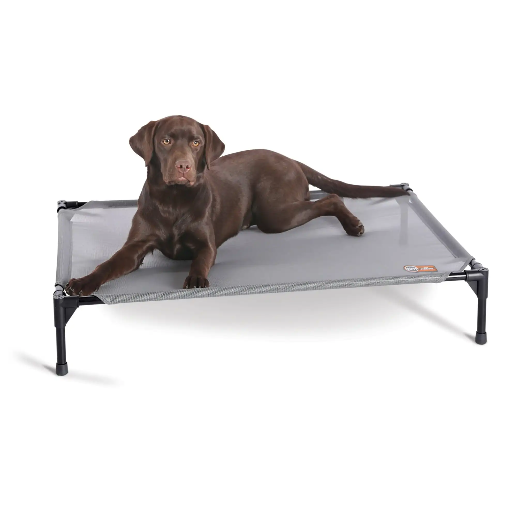 

All Weather Pet Cot Gray Large 42 X 30 X 7 Inches