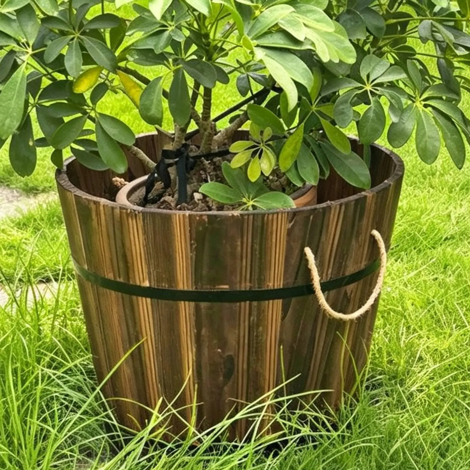 Wooden Barrel Planter Decorative Plant Pot Decoration Housewarming Gift Flower Bucket for Lawn Balcony Home Windowsill Indoor
