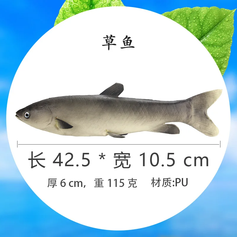 Simulation Fishes Artificial Fake Fish Model Children Early Education Props Red Carp Crucian Decorations Animal Decorative Props image 3