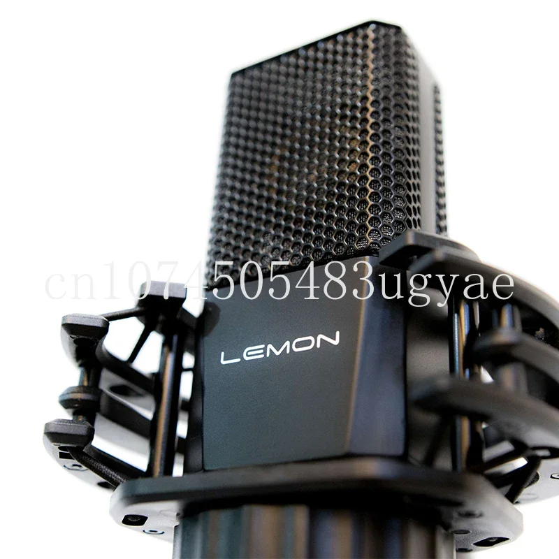 Lgt240 Vocal Singing Capacitance Mic Large Shock Film Electret High Sensitivity Capacitance Mic