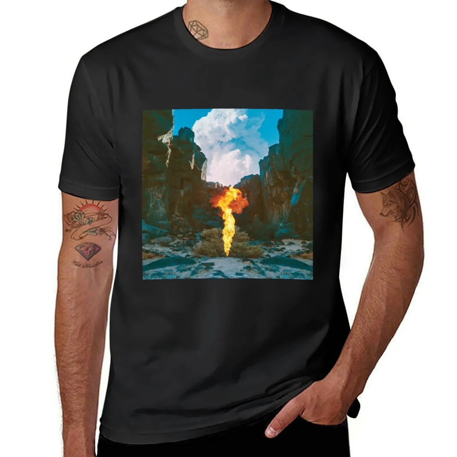 bonobo migration T-Shirt heavyweights shirts graphic tees t shirts men