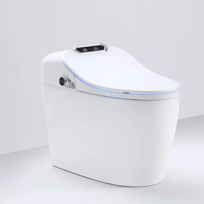 

European Sanitary Ware Ceramic Electric Automatic Flush Intelligent Wc Smart Bidet Toilet