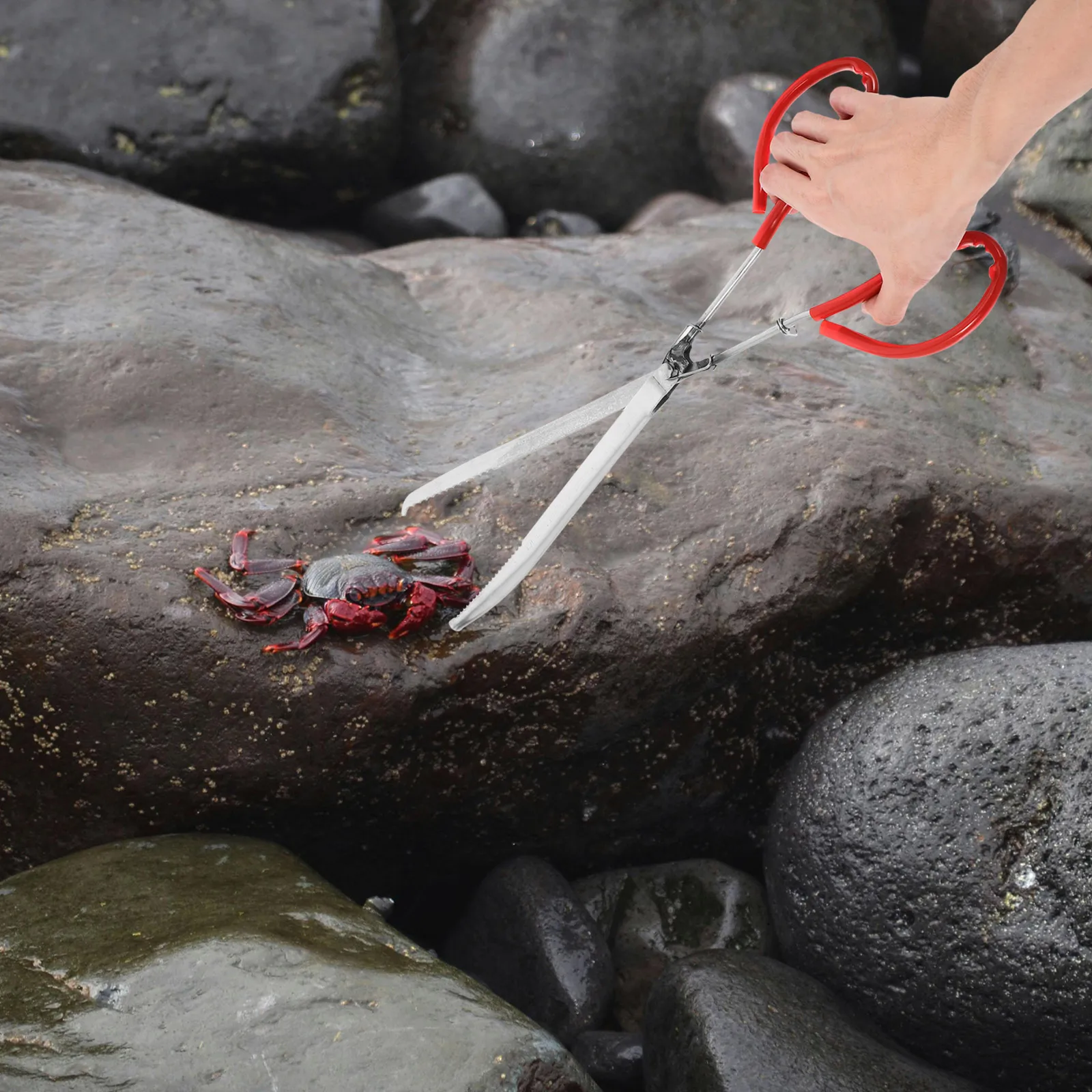 

Pet Clamp Zinc Alloy Multi-Use Crab Eel Gripper Household Outdoor BBQ Camping Fishing Picnic Home Tool Accessory Kitchen Bar