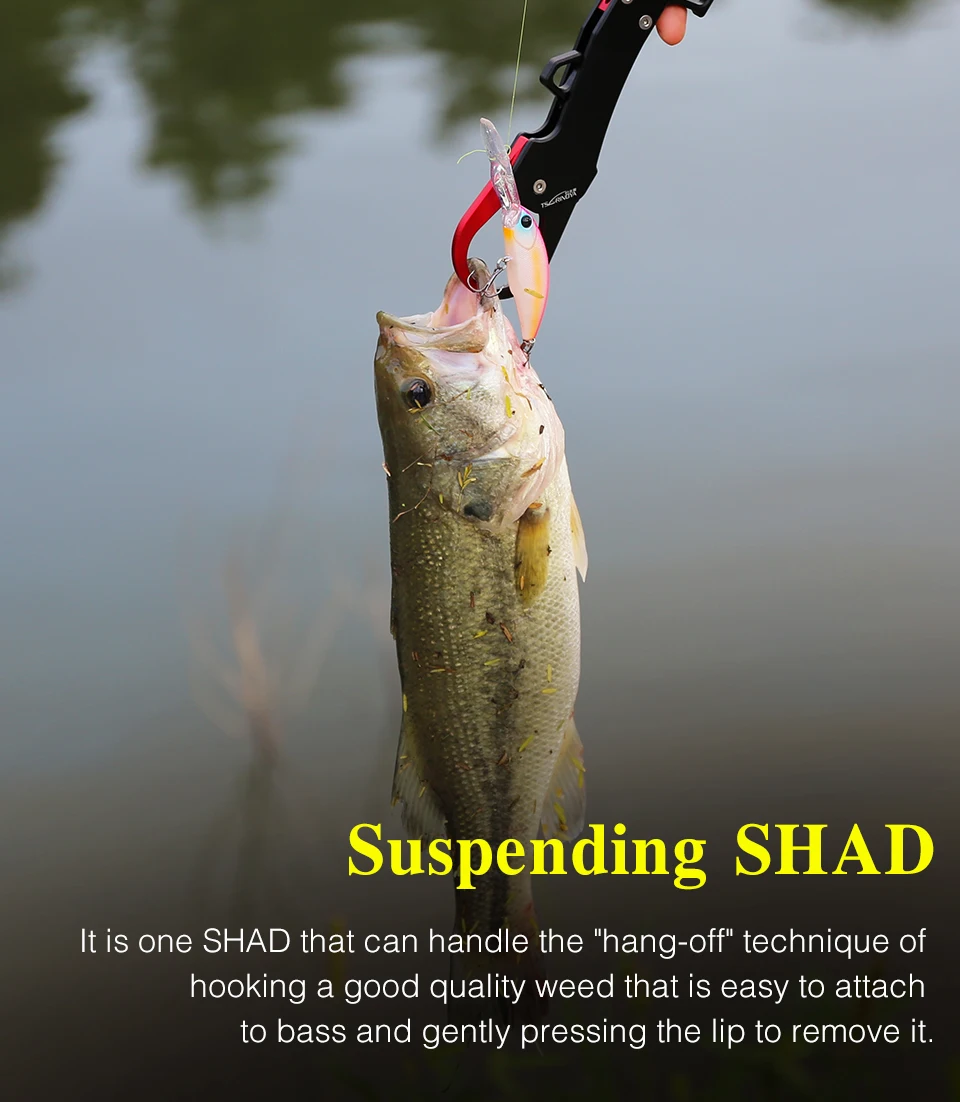 TSURINOYA Dive 2-4m Suspending Minnow 57mm 8.3g EXPLORERS 57SP Long Casting Pike Bass Fishing Lure Artificial Hard Bait Jerkbait