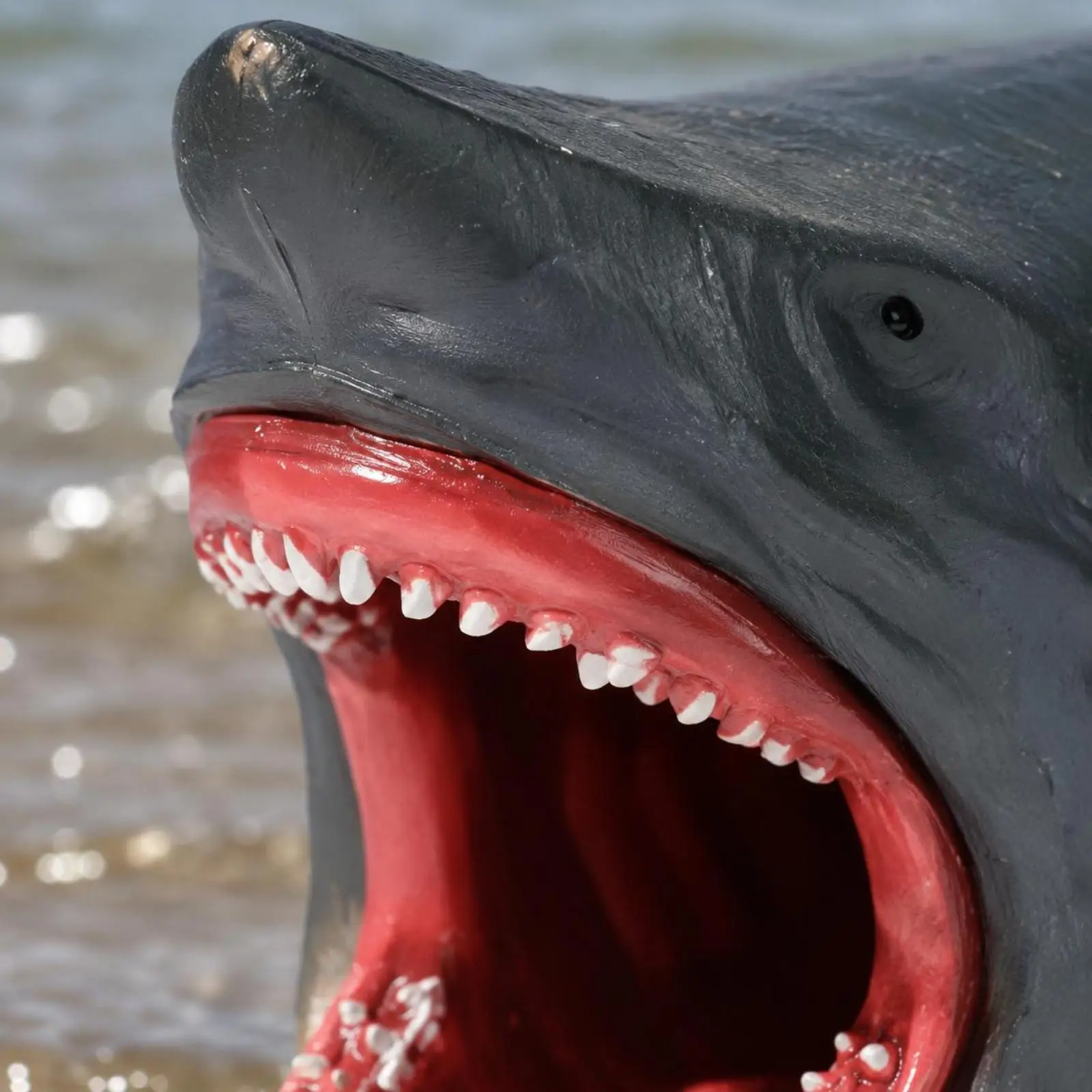 Detailed Megalodon Shark Statue Simulated Marine Animal Model 3D Ocean Life Decor for Cabinet Display