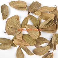 J6PC Terminalia Catappa Foetida Leaves Island Almonds Leaf Fish Cleaning Treatments