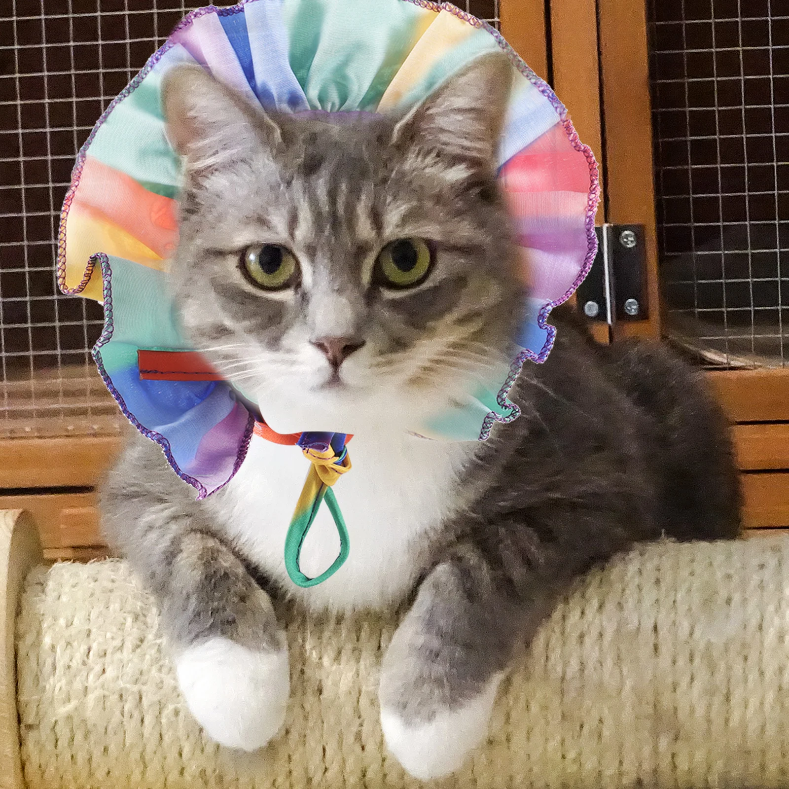 

Pet Hat Summer Cats Dogs Costume Adjustable Straps TC Cloth Rainbow Pride Month Sun Hat Small Pets Dog Bucket Cap