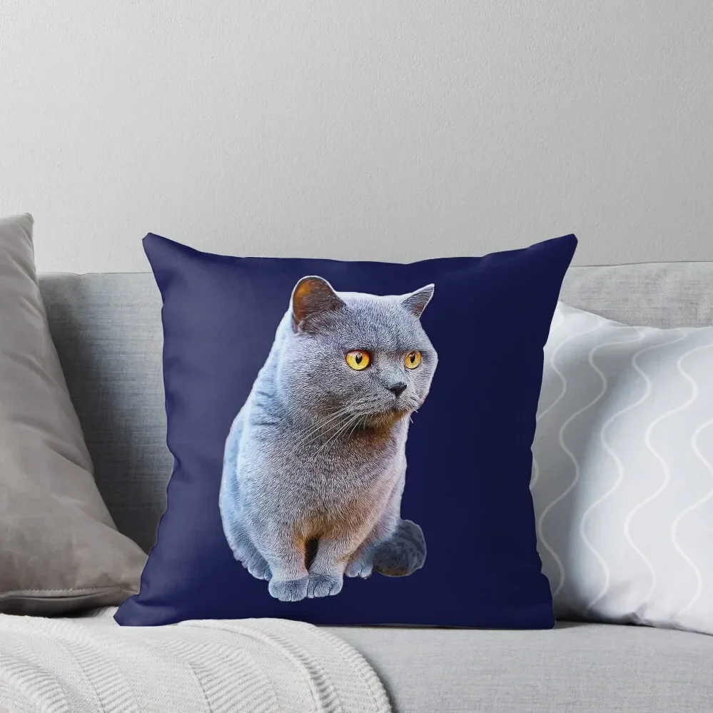 

British Shorthair Cat Blue Throw Pillow Luxury Cushion Cover Room decorating items Couch Pillows Pillow