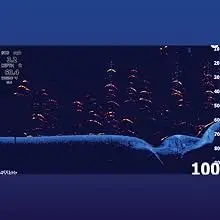 FishReveal