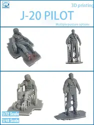 Dream Model 3D Print DM0408-0413 J-20 Pilot Multiple Positions to Choose from 1/48 1/72