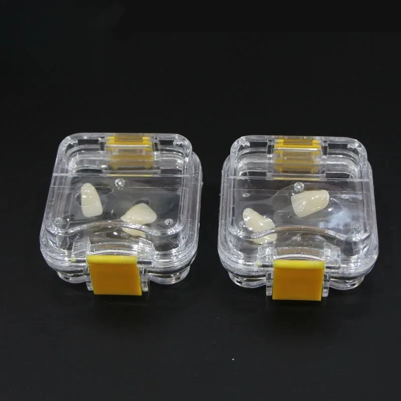 30Pcs Plastic Transparent Dental Box Denture Storage Box with Film Membrane Colorful Hinge for Crown and Bridges