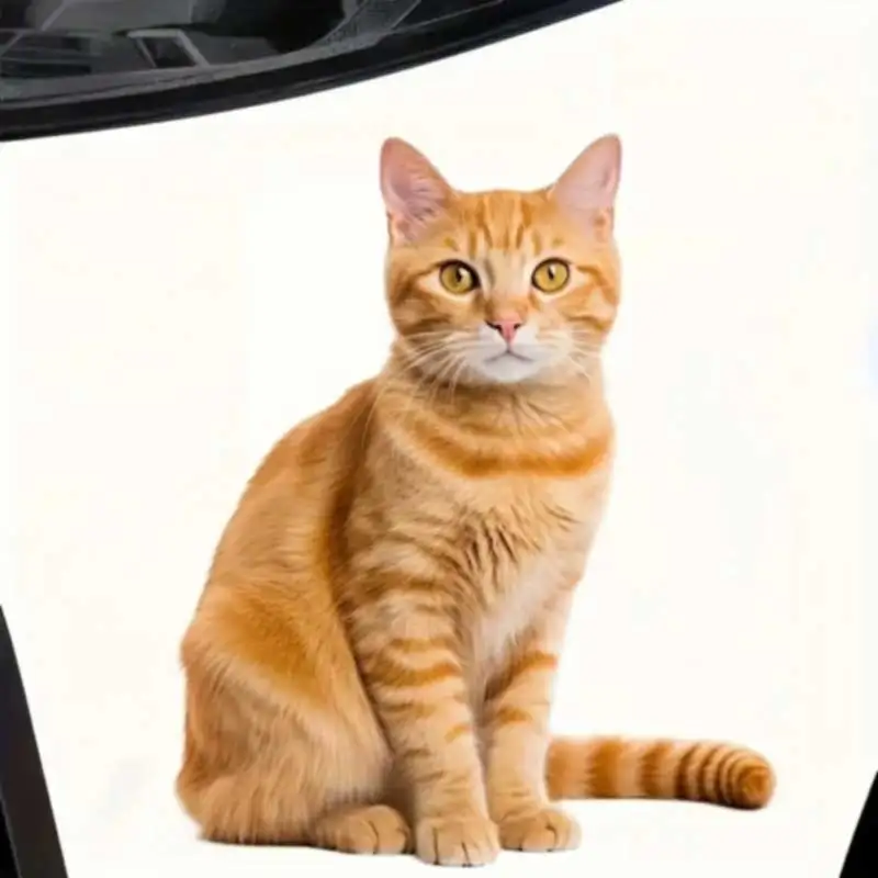 Orange Cat Vinyl Decal Waterproof Sticker for Car Window Motorcycle Bumper Truck & Laptop Fun Pet Themed Home Garden Decor HE311
