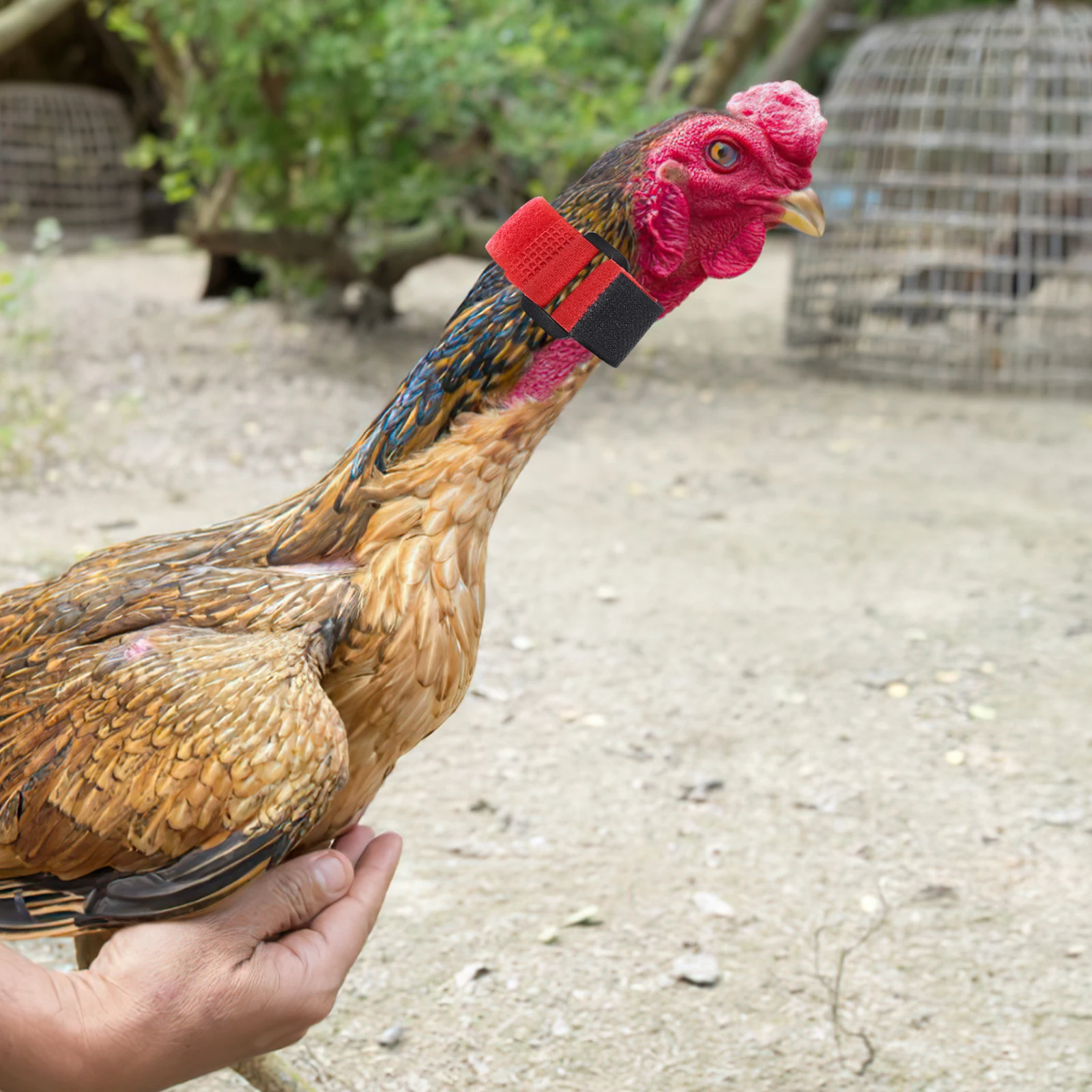 

2 Pcs Anti-hook Rooster Neck Strap Chicken Belts Anti-noise Collars Replacements Crowing-proof Neckbands
