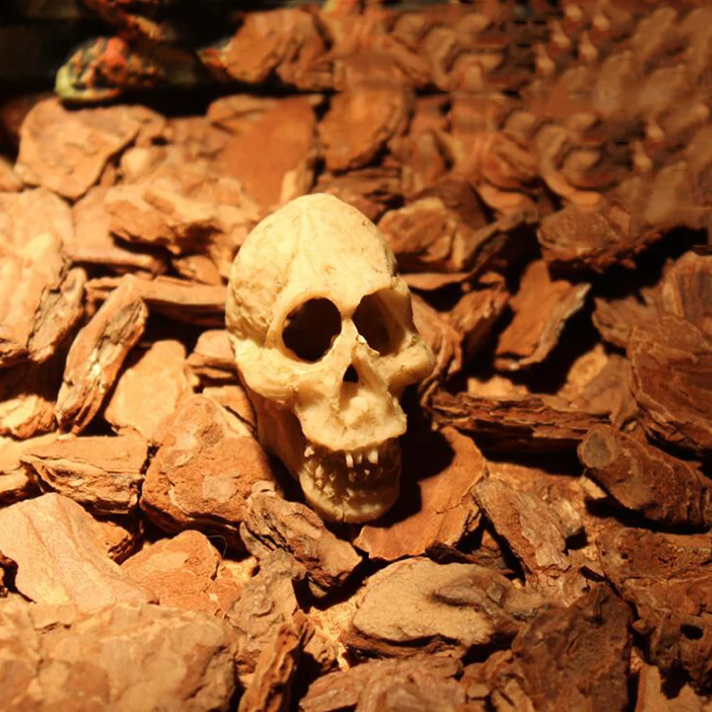 

2pcs Mini Human Skull Ornament Resin Aquarium Decoration For Fish Tank Reptile Terrarium Shelter Landscaping Decor Skull