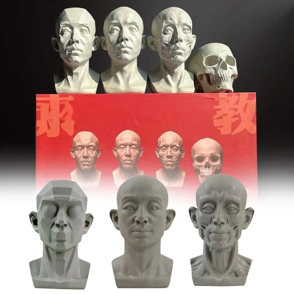 Art Plaster Portrait Teaching Aids Simulation Flat Tool Plaster Version Portrait Sketch Head Learning Practical Mini Resin L2B3