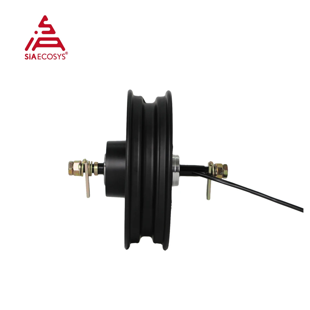 QS Motor 10x2.15inch 212 1000W 27H E-Scooter In-Wheel Hub Motor