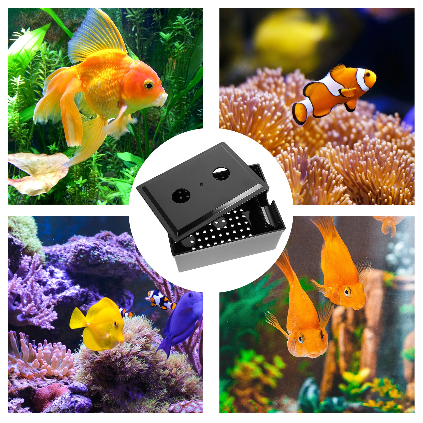 

1 set Fish Tank Filter Box Household Aquarium Accessory Black Plastic Small Compact Wear Resistant Professional Filter