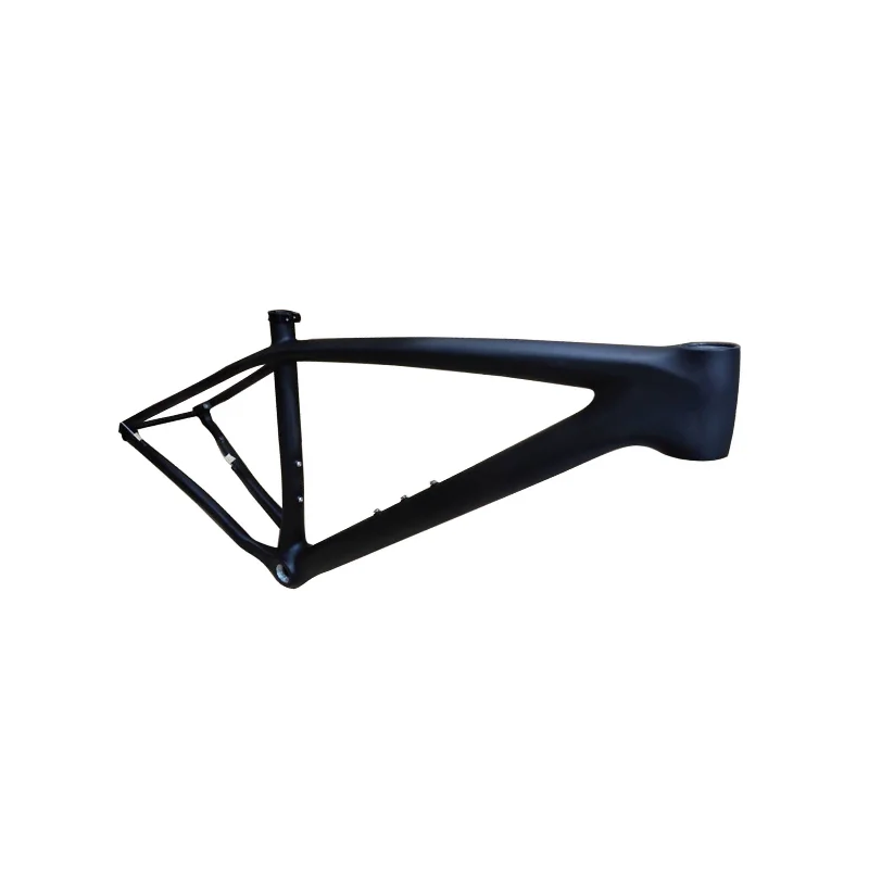 

All-new design, custom carbon fiber MTB/Road bike frame