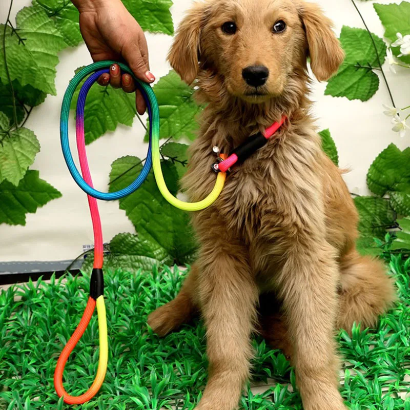 1Pcs Rainbow Nylon Dog Leash Training Dog  Personalized Leash Lead Strap Collar 130cm High Quality Dog Harness Color Randomly