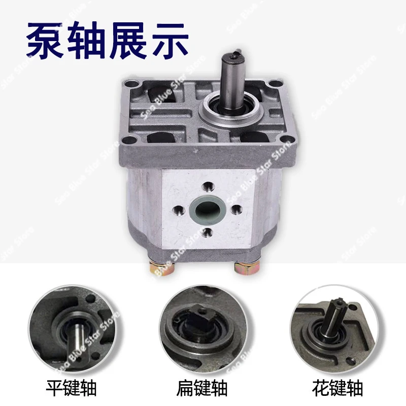 Shearing machine hydraulic oil pump high pressure gear pump CBN-F304 306 310 316 320 hydraulic pump head assembly