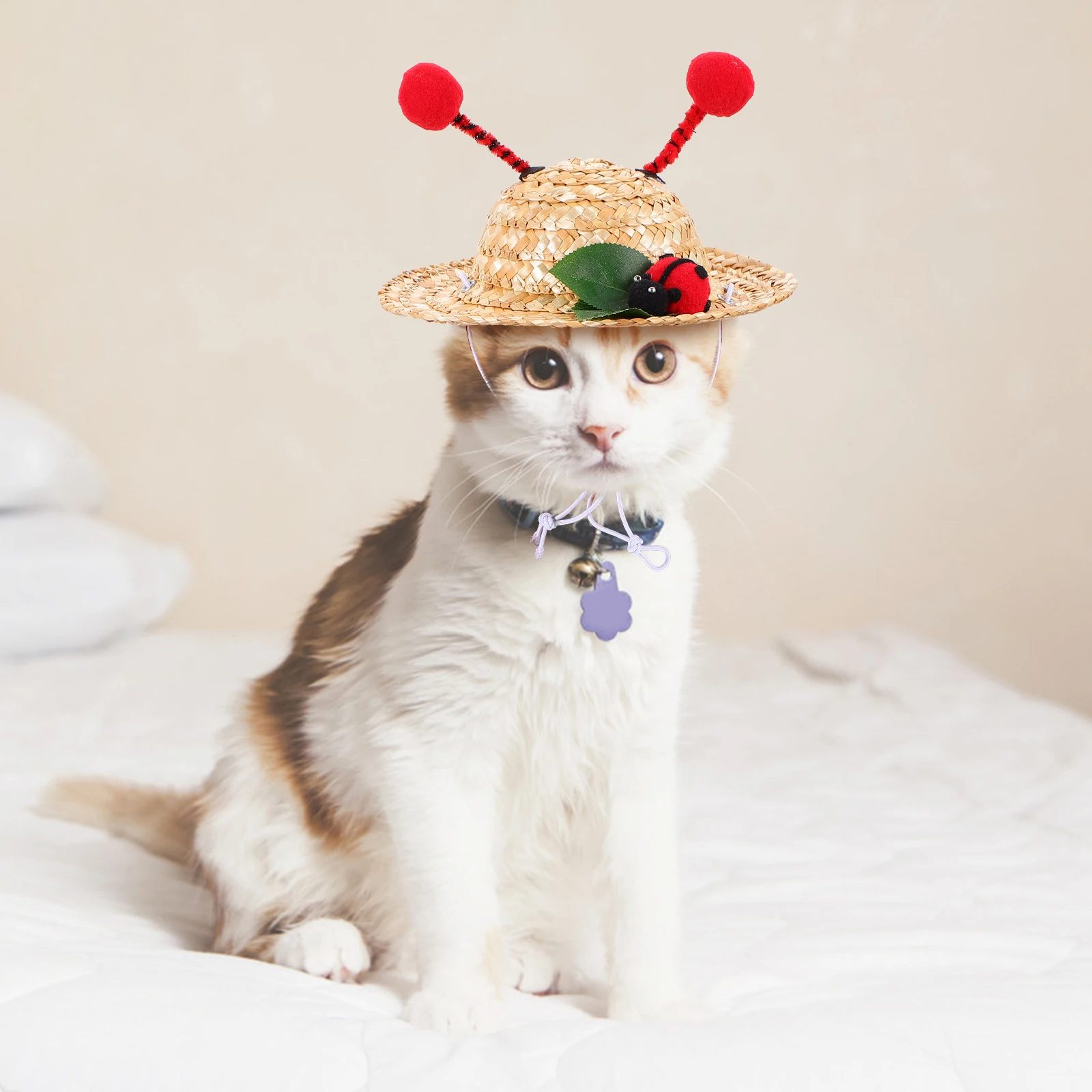 

Pet Hat Dog for Dogs Suit Cat Pets Cats Costume Kitten Puppy Sun Beach Vacation