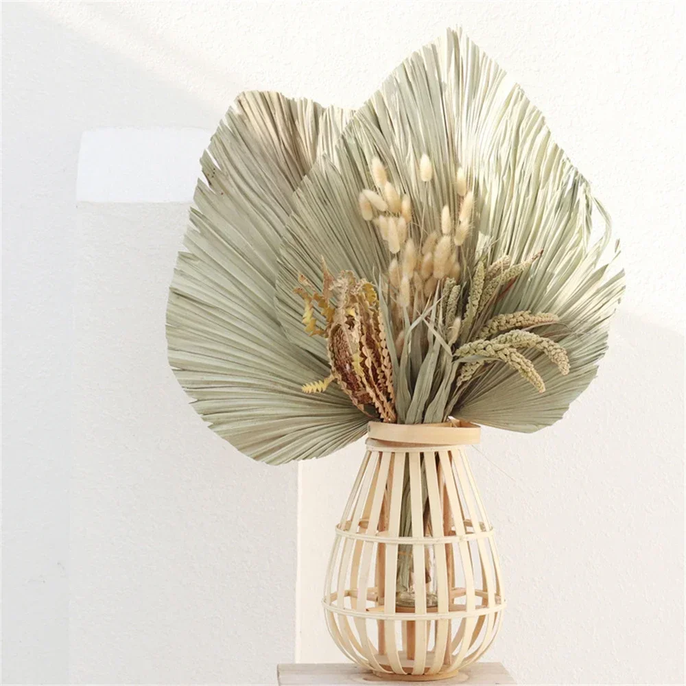 

Palm-Leaf Fan, Dried Flower, Palm Leaves, Window Reception,Party,Art Wall Hanging Decoration,Wedding Arch Arrangement,Home Decor