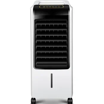 Royaltar Remote Control Pendingin Udara Hangat Dingin Kipas Pendingin Lantai Listrik Rumah Portabel Mini Penggunaan Ganda AC