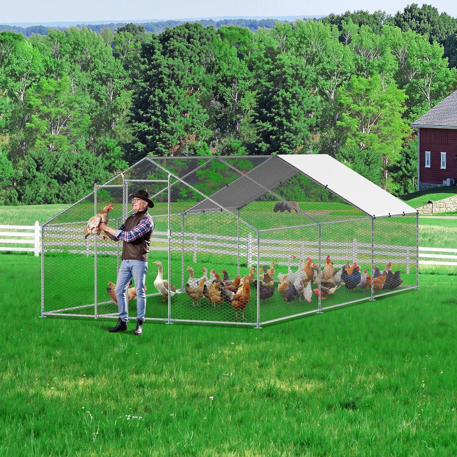 

Metal Chicken Coop 9.8x19.6x6.5 Ft Walk-in Chicken Run With Cover Spire Roof