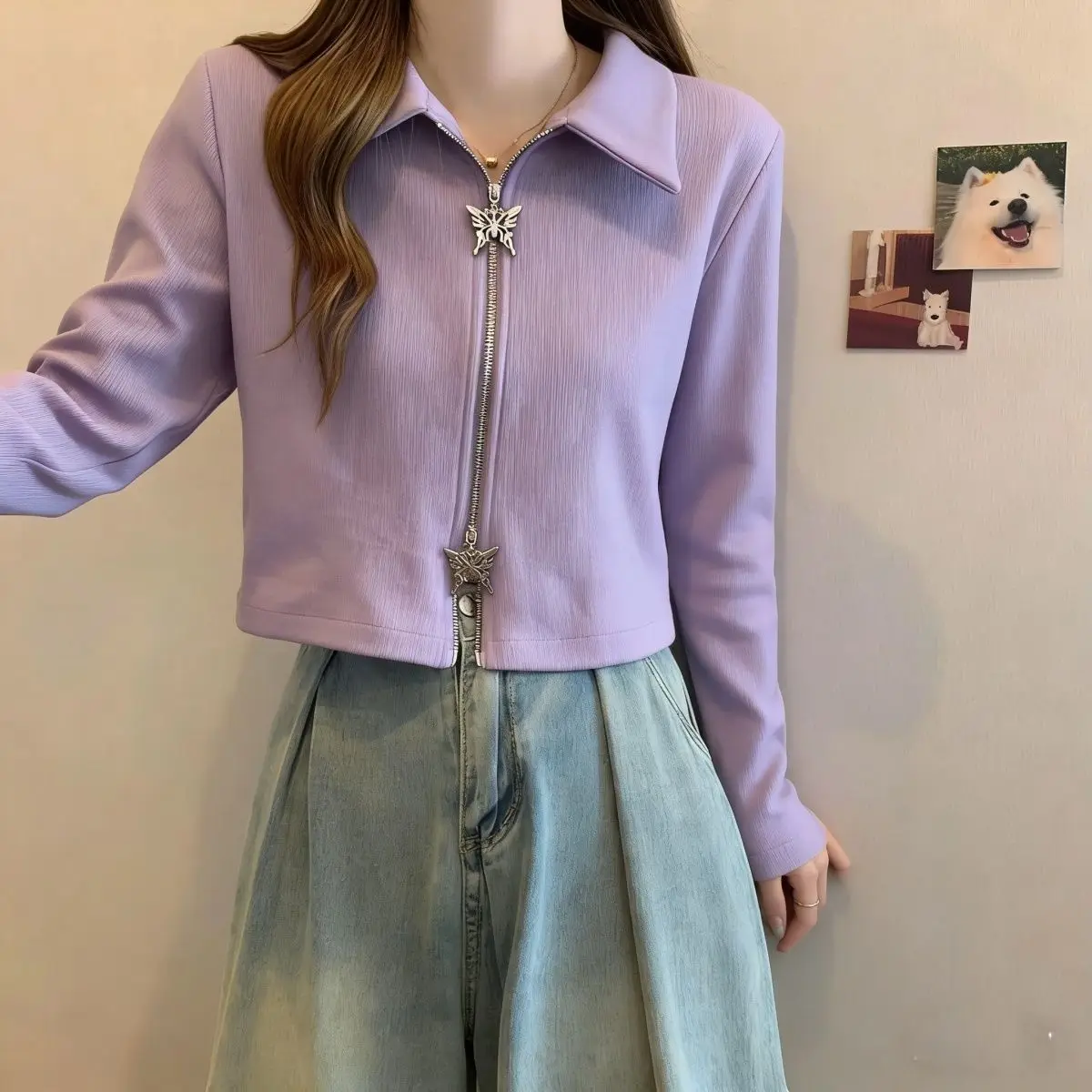

Women's Short Jacket Spring and Autumn New Retro Short Style Long Sleeved Butterfly Zipper Top